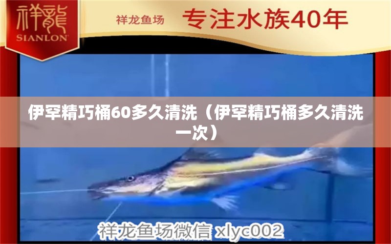 伊罕精巧桶60多久清洗（伊罕精巧桶多久清洗一次）