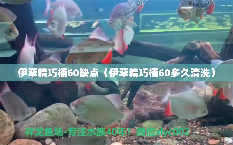 伊罕精巧桶60缺点（伊罕精巧桶60多久清洗） 眼斑鱼