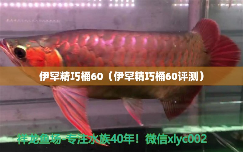 伊罕精巧桶60（伊罕精巧桶60评测）