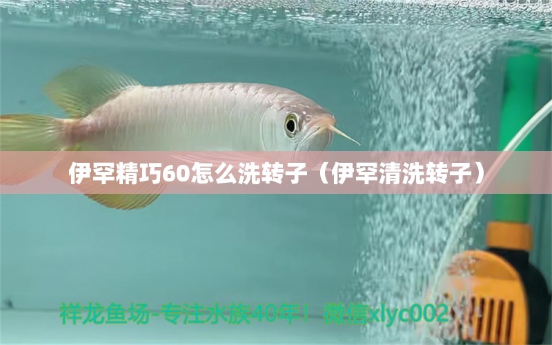 伊罕精巧60怎么洗转子（伊罕清洗转子）