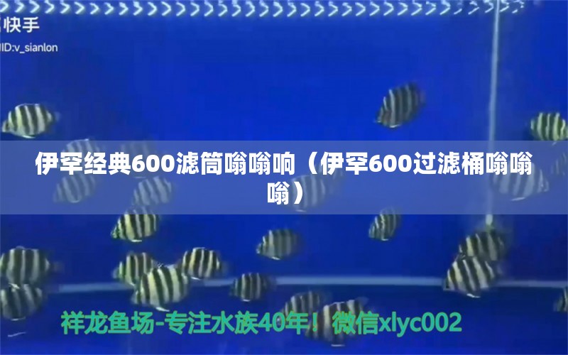 伊罕经典600滤筒嗡嗡响（伊罕600过滤桶嗡嗡嗡） 伊罕水族