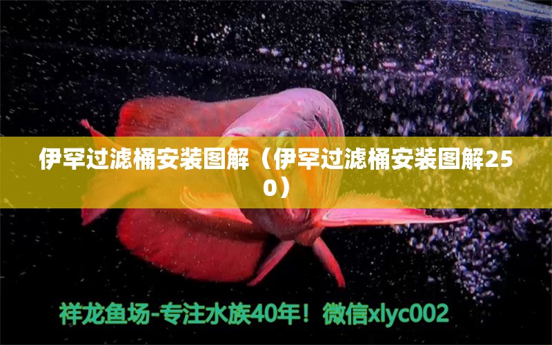 伊罕过滤桶安装图解（伊罕过滤桶安装图解250）