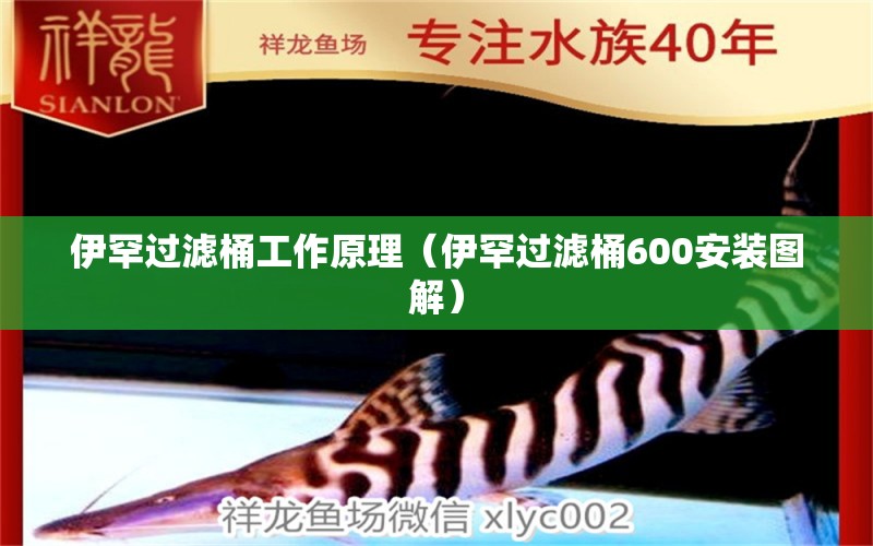 伊罕过滤桶工作原理（伊罕过滤桶600安装图解）