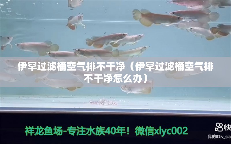 伊罕过滤桶空气排不干净（伊罕过滤桶空气排不干净怎么办）