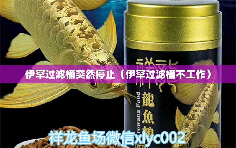 伊罕过滤桶突然停止（伊罕过滤桶不工作）