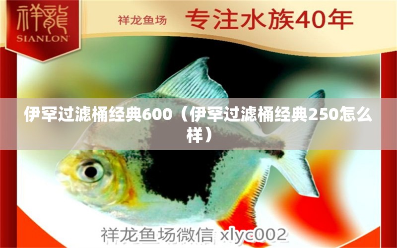 伊罕过滤桶经典600（伊罕过滤桶经典250怎么样）