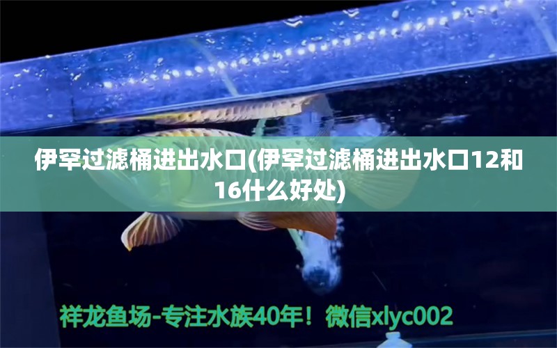 伊罕过滤桶进出水口(伊罕过滤桶进出水口12和16什么好处)