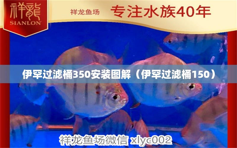 伊罕过滤桶350安装图解（伊罕过滤桶150）