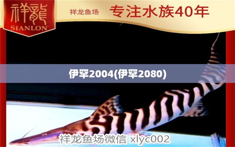 伊罕2004(伊罕2080) 伊罕水族 第1张