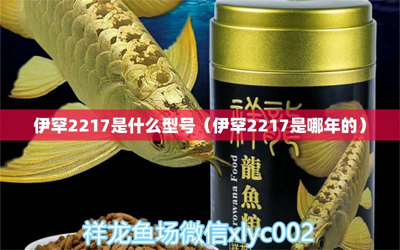 伊罕2217是什么型号（伊罕2217是哪年的）