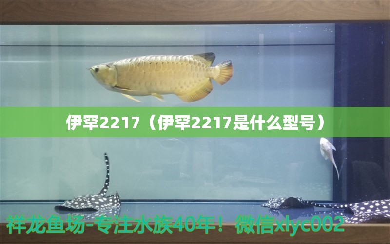 伊罕2217（伊罕2217是什么型号）