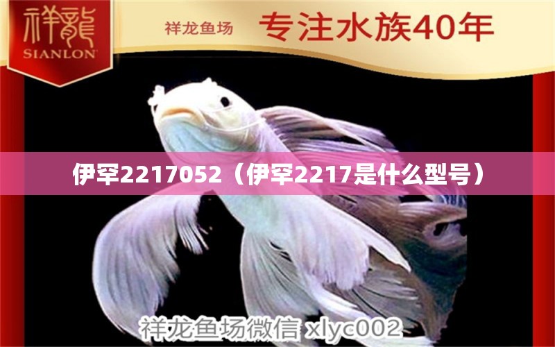 伊罕2217052（伊罕2217是什么型号）