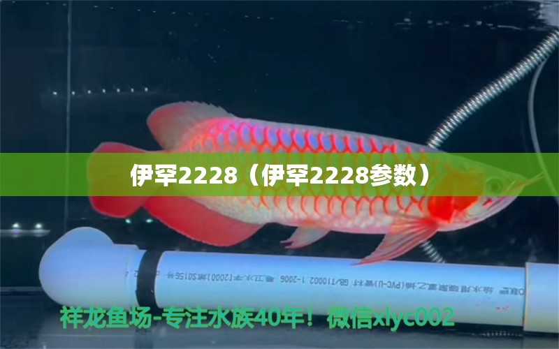 伊罕2228（伊罕2228参数） 伊罕水族