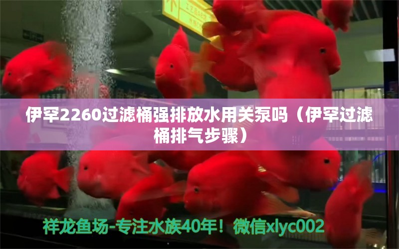 伊罕2260过滤桶强排放水用关泵吗（伊罕过滤桶排气步骤）