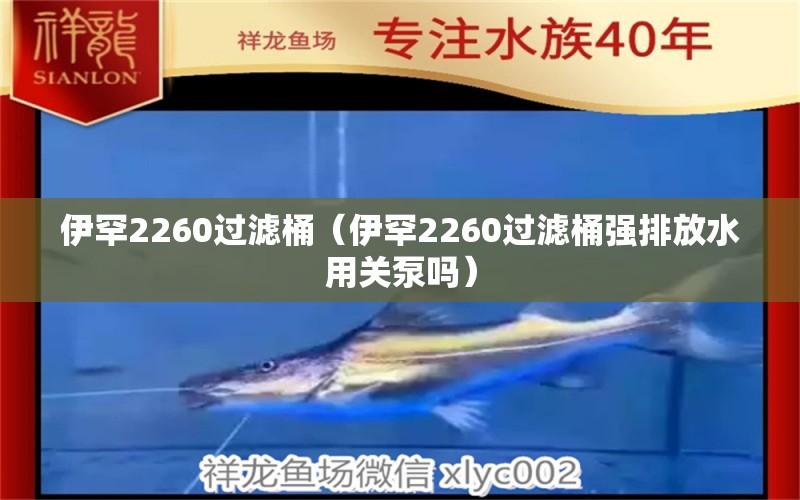 伊罕2260过滤桶（伊罕2260过滤桶强排放水用关泵吗）