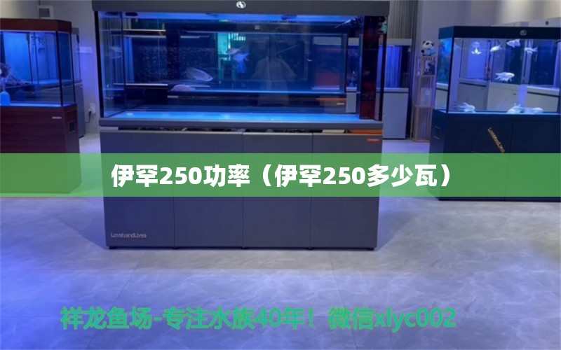 伊罕250功率（伊罕250多少瓦）