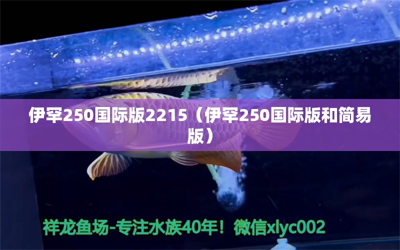 伊罕250国际版2215（伊罕250国际版和简易版）