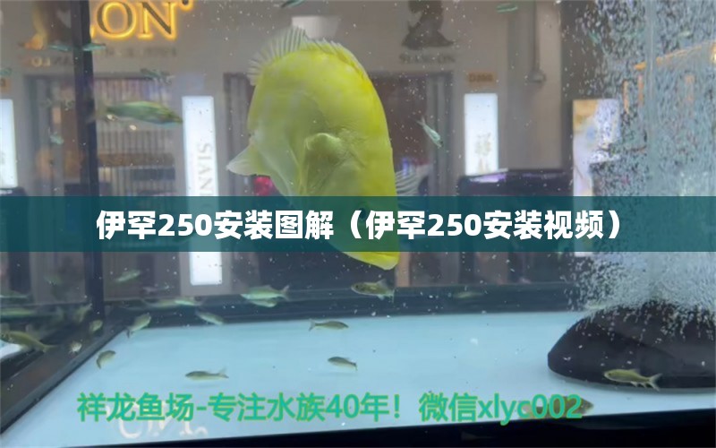 伊罕250安装图解（伊罕250安装视频）