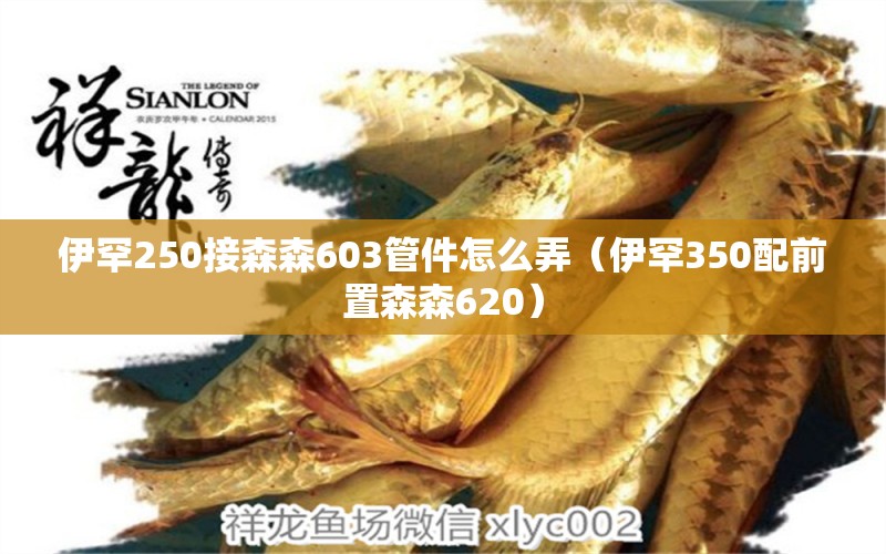 伊罕250接森森603管件怎么弄（伊罕350配前置森森620）