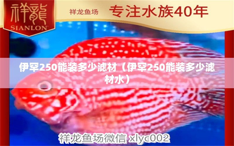 伊罕250能装多少滤材（伊罕250能装多少滤材水） 伊罕水族