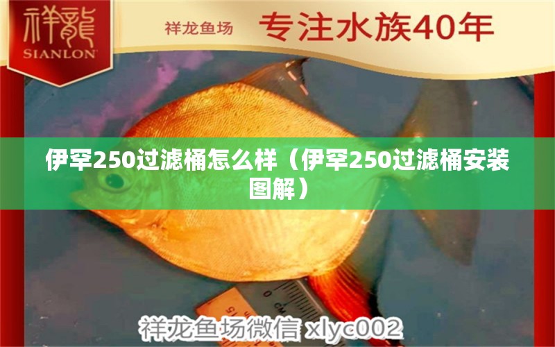 伊罕250过滤桶怎么样（伊罕250过滤桶安装图解）