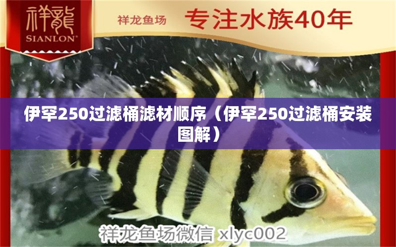 伊罕250过滤桶滤材顺序（伊罕250过滤桶安装图解） 伊罕水族