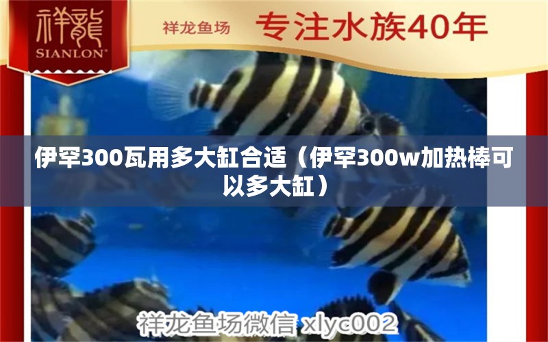 伊罕300瓦用多大缸合适（伊罕300w加热棒可以多大缸）