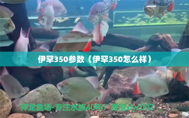 伊罕350参数（伊罕350怎么样）