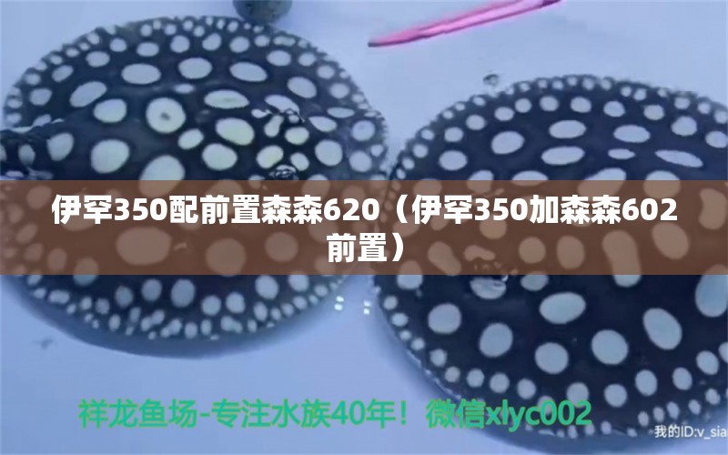 伊罕350配前置森森620（伊罕350加森森602前置） 伊罕水族