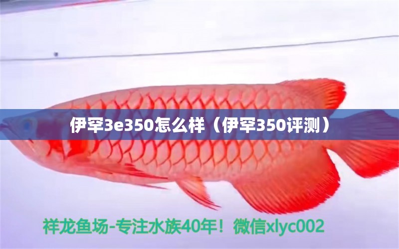 伊罕3e350怎么样（伊罕350评测）