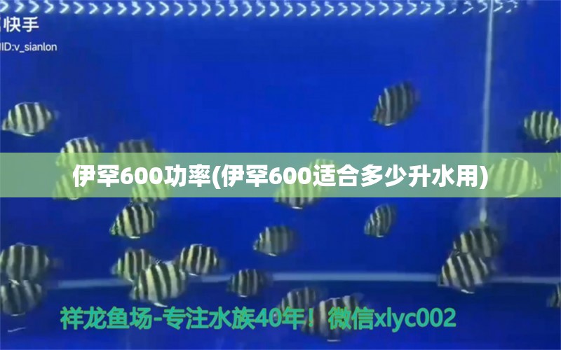 伊罕600功率(伊罕600适合多少升水用)