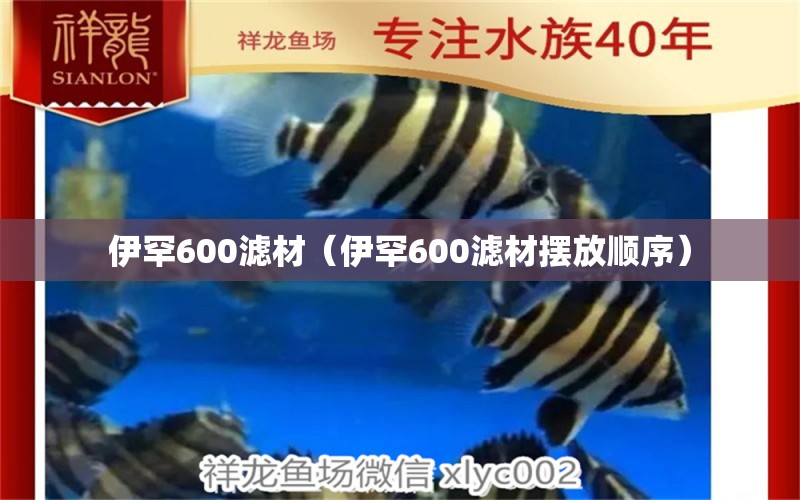 伊罕600滤材（伊罕600滤材摆放顺序） 伊罕水族