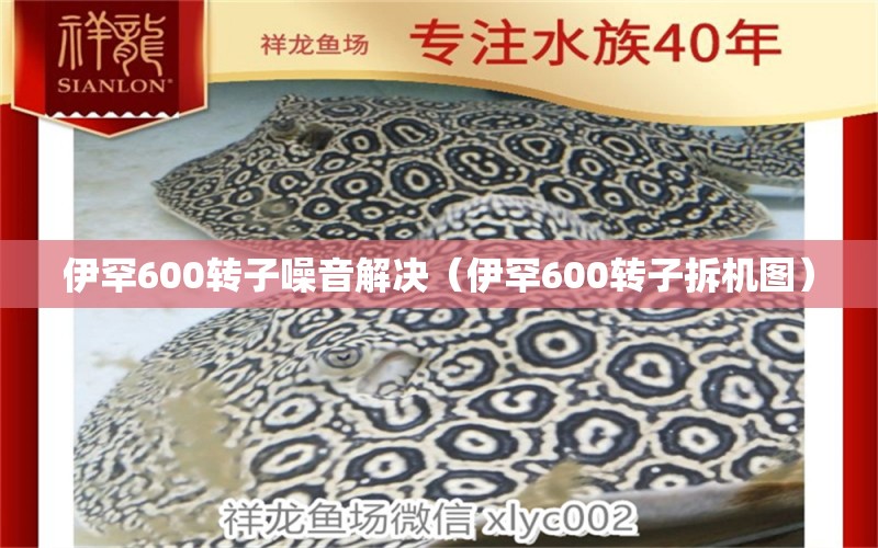 伊罕600转子噪音解决（伊罕600转子拆机图）