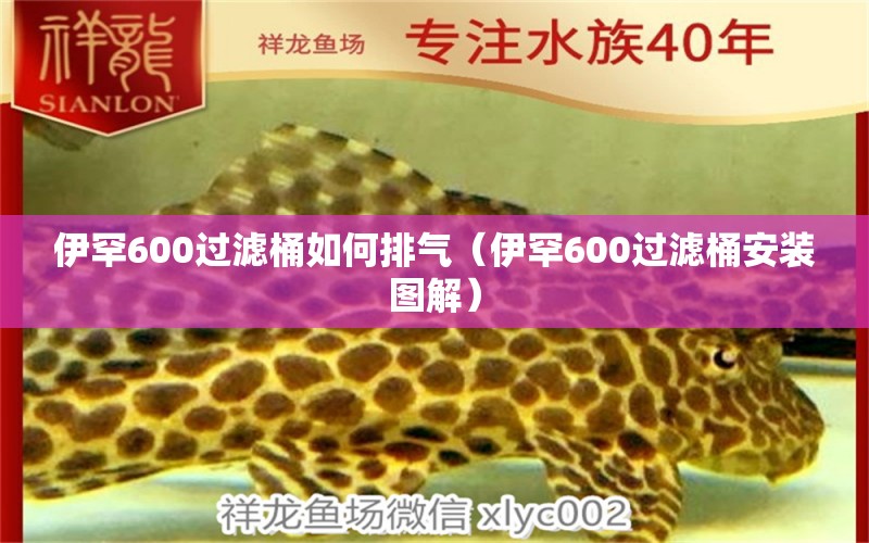 伊罕600过滤桶如何排气（伊罕600过滤桶安装图解）