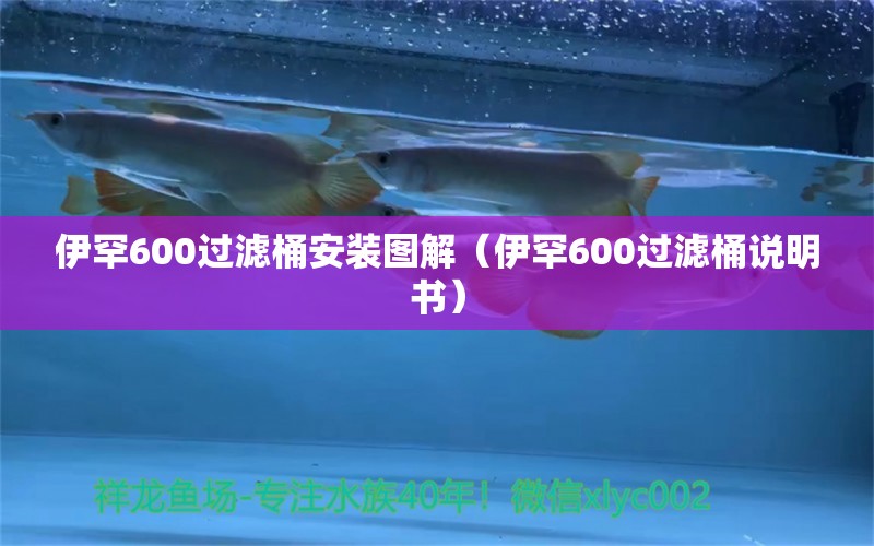 伊罕600过滤桶安装图解（伊罕600过滤桶说明书） 伊罕水族