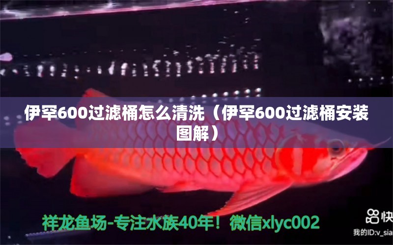 伊罕600过滤桶怎么清洗（伊罕600过滤桶安装图解） 伊罕水族