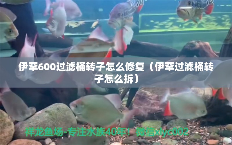 伊罕600过滤桶转子怎么修复（伊罕过滤桶转子怎么拆）