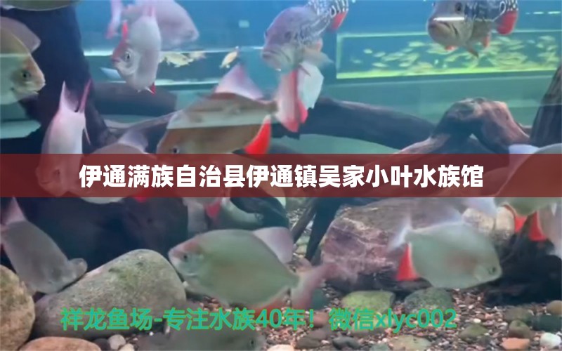 伊通满族自治县伊通镇吴家小叶水族馆