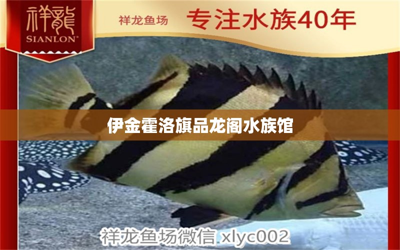 伊金霍洛旗品龙阁水族馆