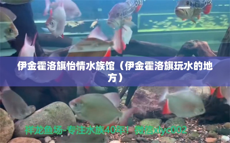 伊金霍洛旗怡情水族馆（伊金霍洛旗玩水的地方） 全国水族馆企业名录