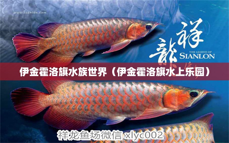 伊金霍洛旗水族世界（伊金霍洛旗水上乐园）