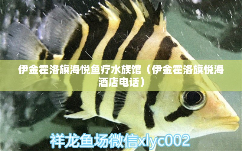 伊金霍洛旗海悦鱼疗水族馆（伊金霍洛旗悦海酒店电话） 全国水族馆企业名录