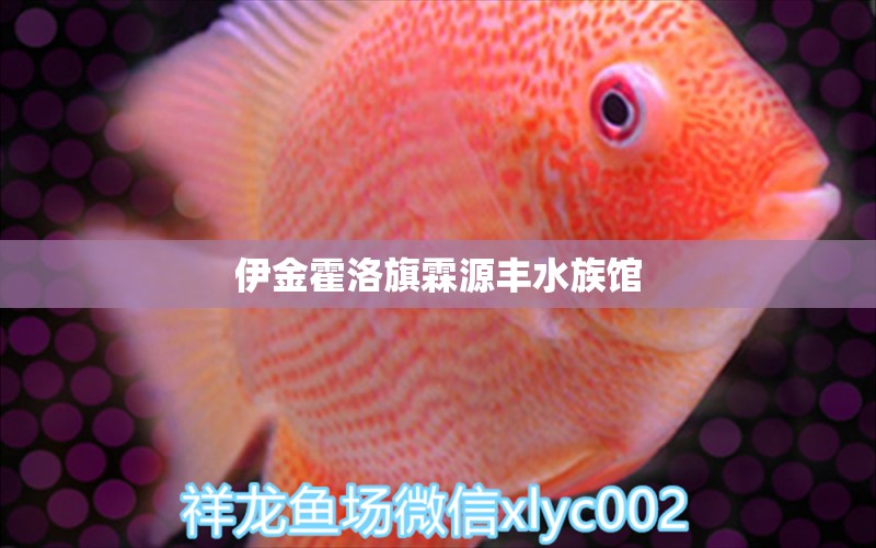 伊金霍洛旗霖源丰水族馆