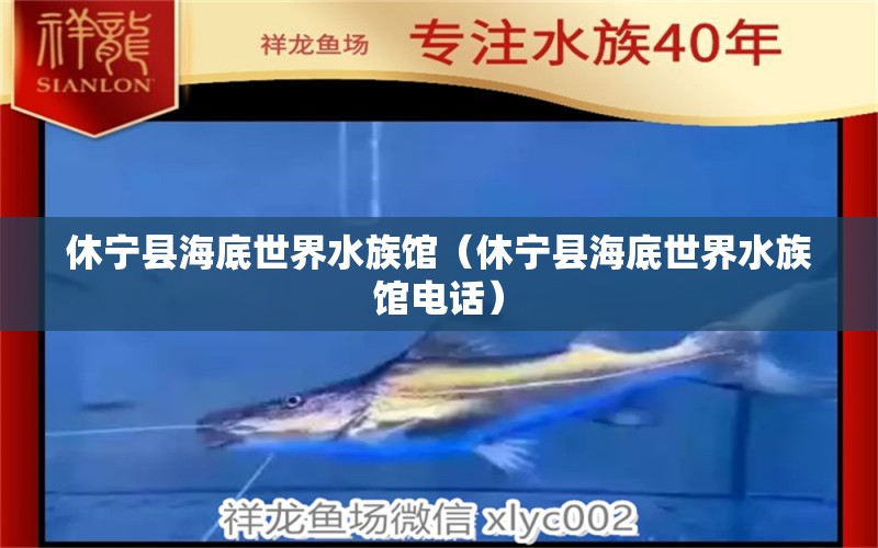 休宁县海底世界水族馆（休宁县海底世界水族馆电话）