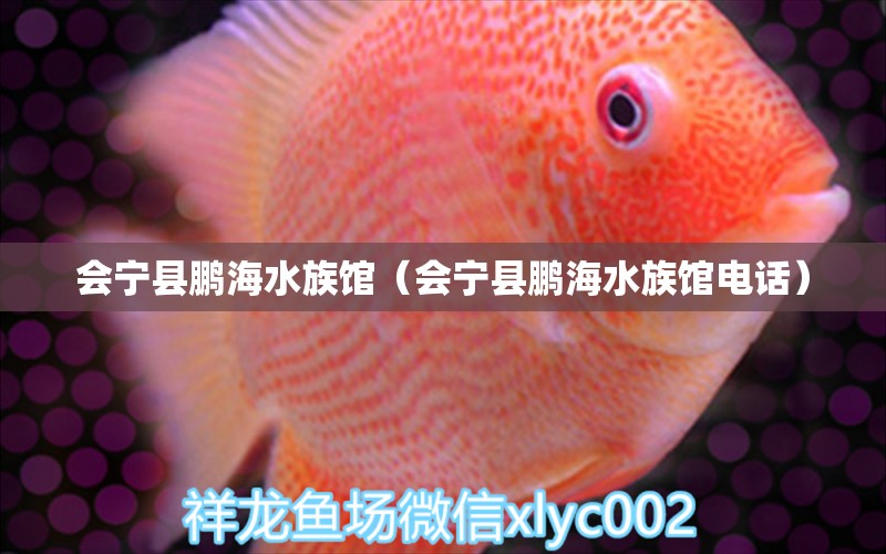 会宁县鹏海水族馆（会宁县鹏海水族馆电话）