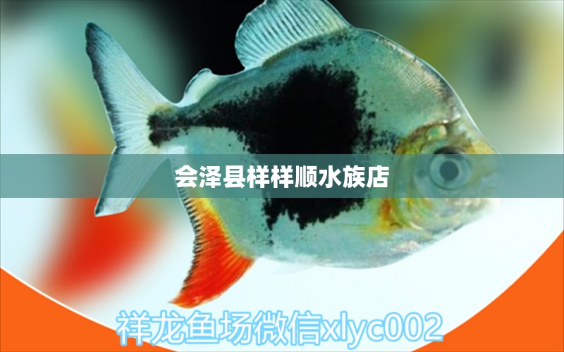 会泽县样样顺水族店