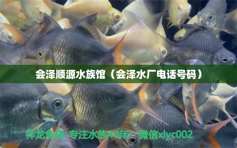 会泽顺源水族馆（会泽水厂电话号码）