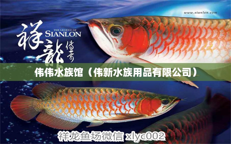 伟伟水族馆（伟新水族用品有限公司） 水族用品