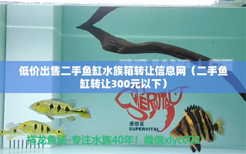 低价出售二手鱼缸水族箱转让信息网（二手鱼缸转让300元以下） 鱼缸/水族箱