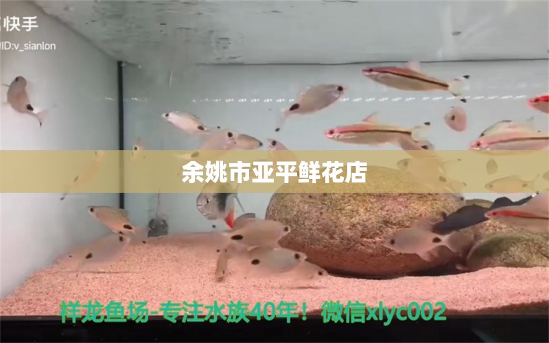 余姚市亚平鲜花店 全国水族馆企业名录